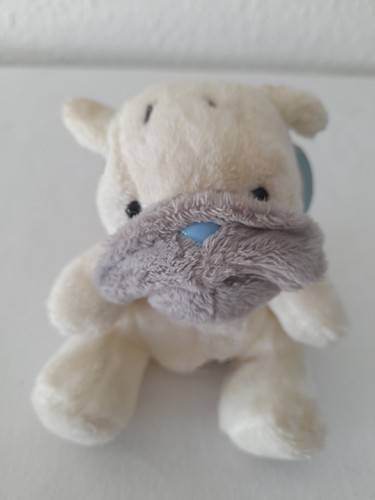 Very rare blue nose bears - rare,